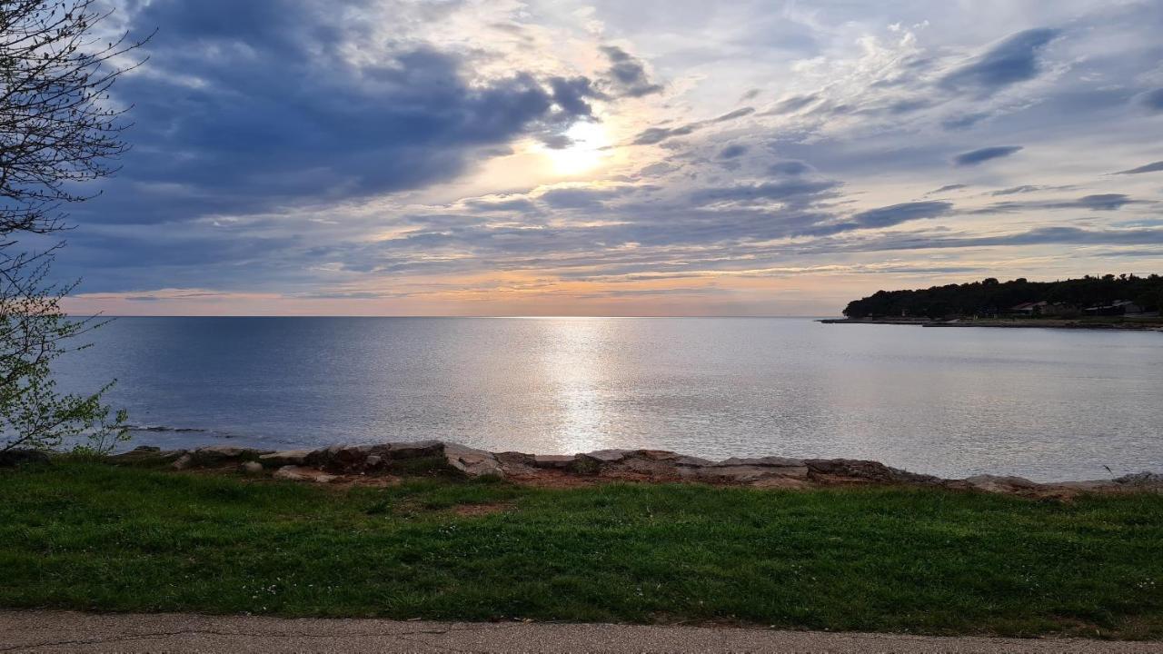 Apartments Kivi Novigrad  Екстер'єр фото