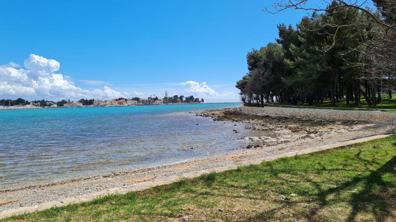 Apartments Kivi Novigrad  Екстер'єр фото