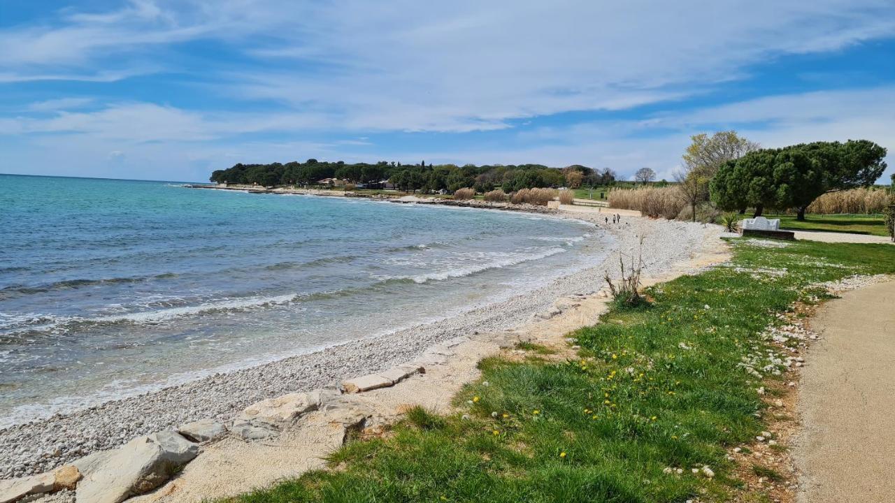 Apartments Kivi Novigrad  Екстер'єр фото