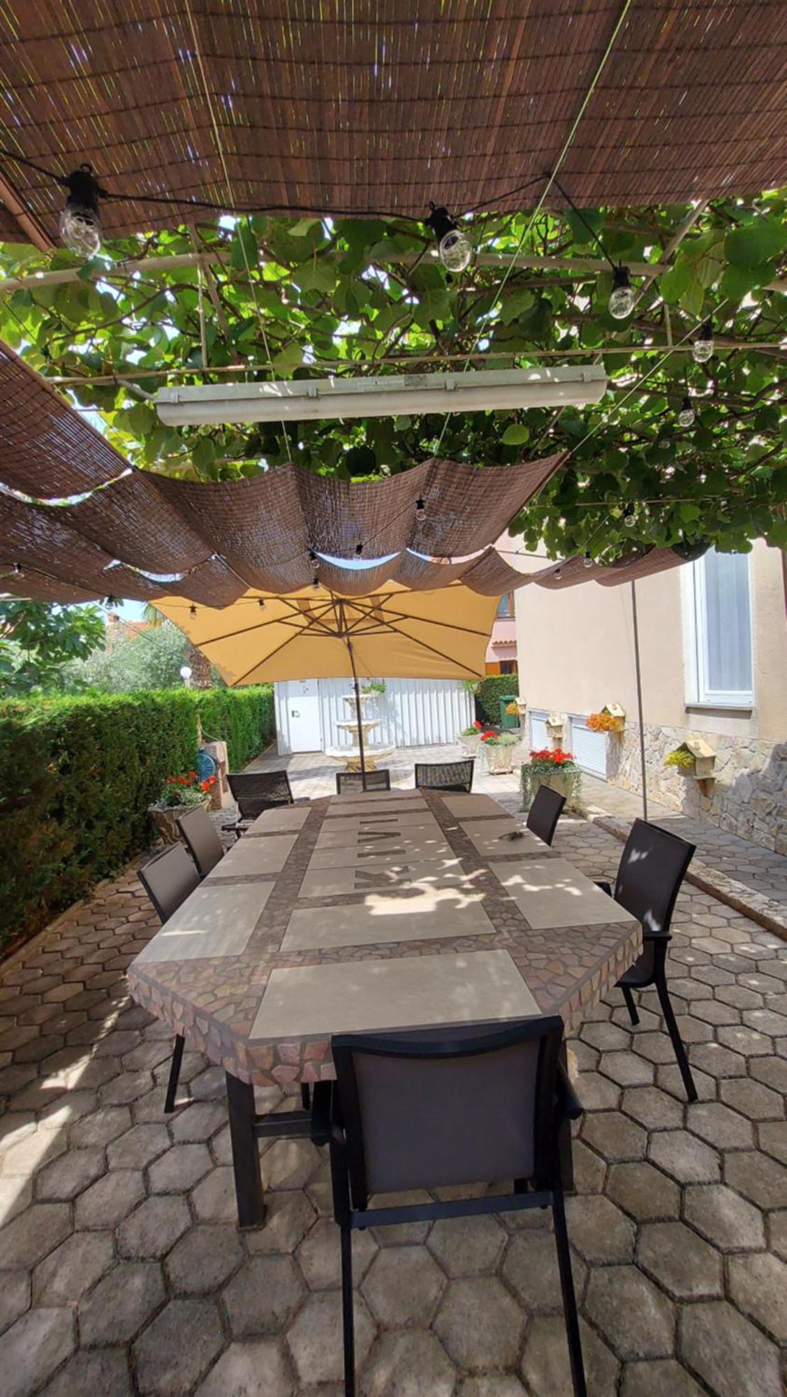 Apartments Kivi Novigrad  Екстер'єр фото