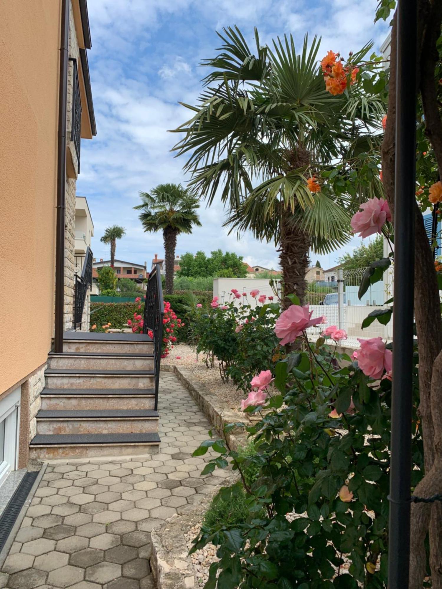 Apartments Kivi Novigrad  Екстер'єр фото