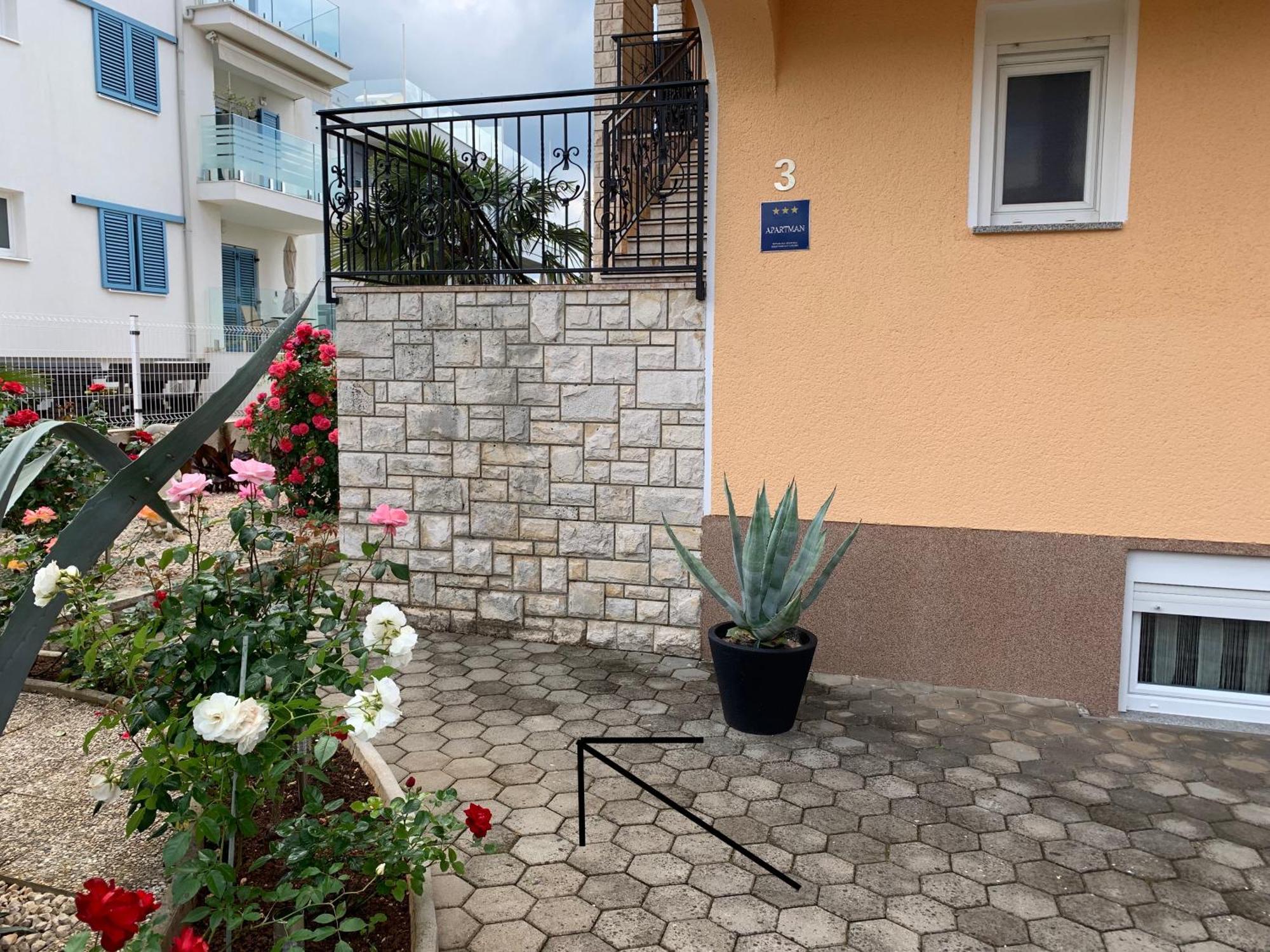 Apartments Kivi Novigrad  Екстер'єр фото