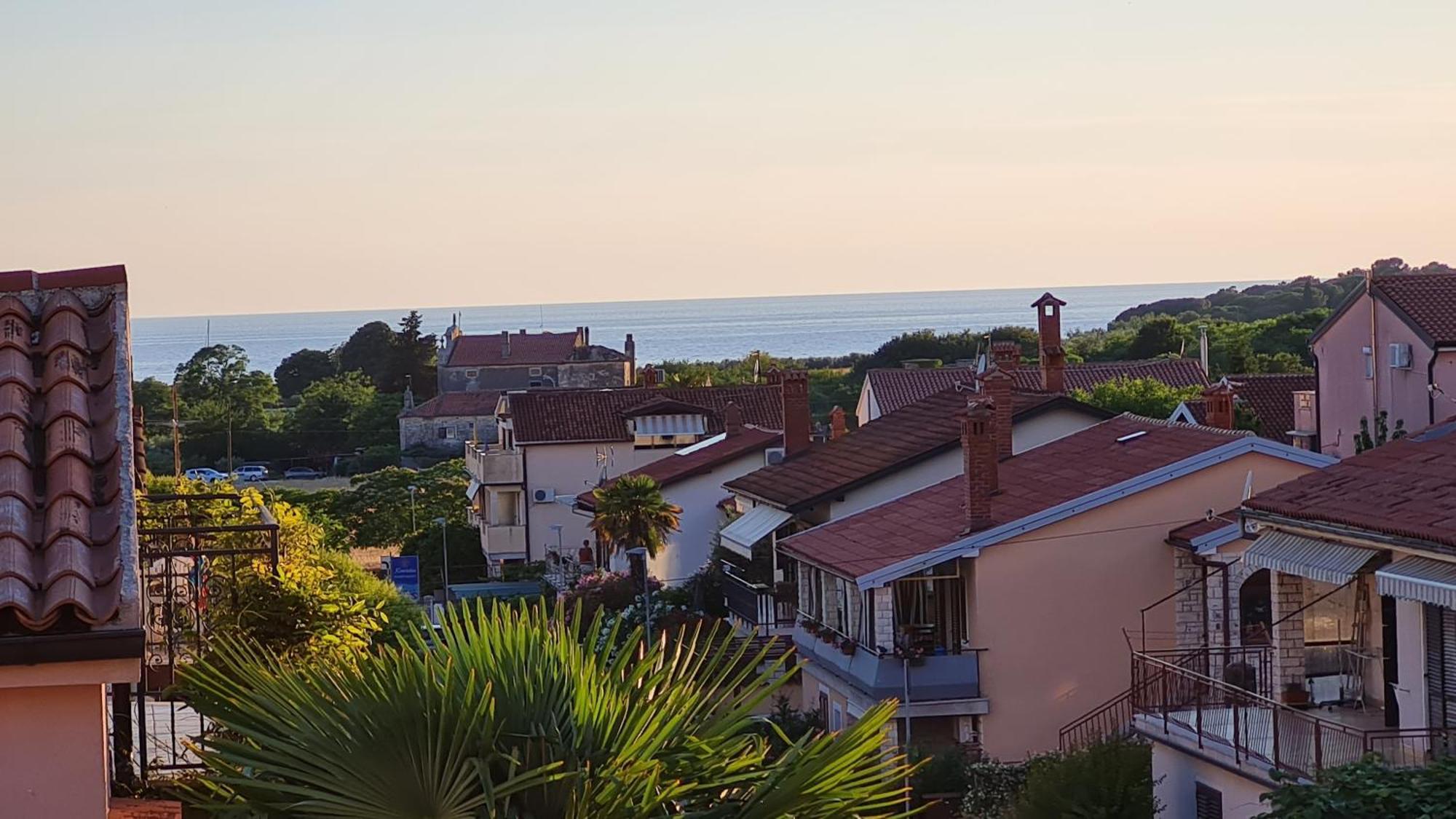 Apartments Kivi Novigrad  Екстер'єр фото